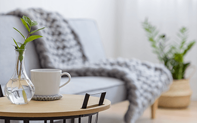Cozy living room with a plant, coffee cup, and blanket on a couch creating a relaxing atmosphere.